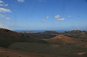 Kanary_2010 118
